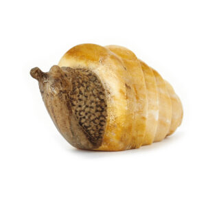 Фигурка «Улитка» Камень ангидрит