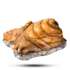 Фигура «Улитка» Камень ангидрит